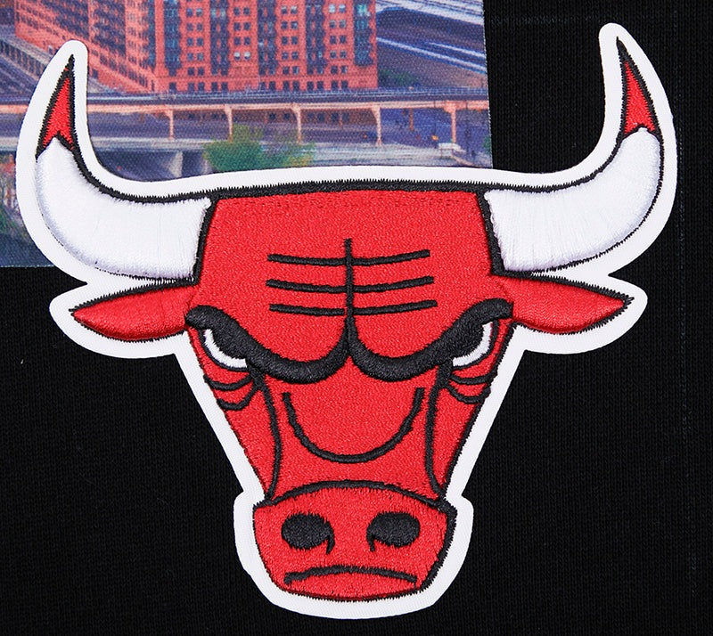 NBA Chicago Bulls Mens City Scape Pull Over Hoodie