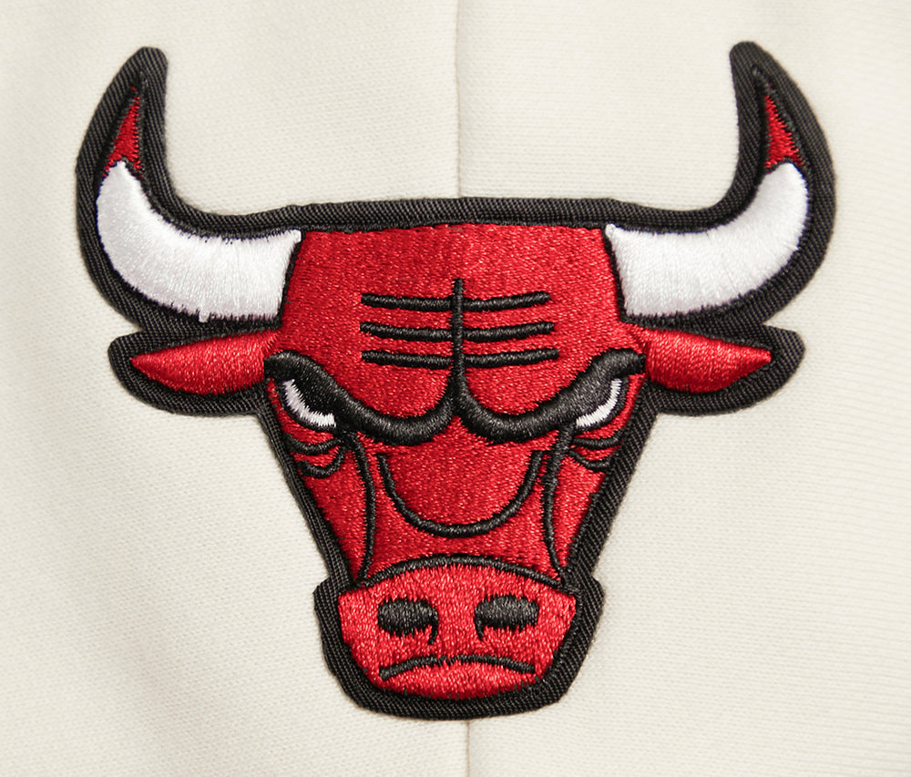 NBA Chicago Bulls Retro Cropped Pull Over Hoodie