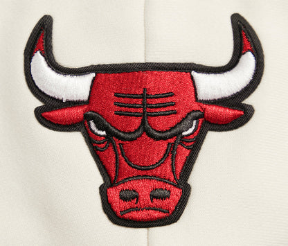 NBA Chicago Bulls Retro Cropped Pull Over Hoodie