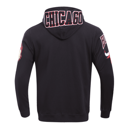 NBA Chicago Bulls Chenille Full zip Hoodie